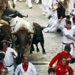 Los toros de Núñez del Cuvillo cierran los encierros con una carrera rápida y sin heridos por asta