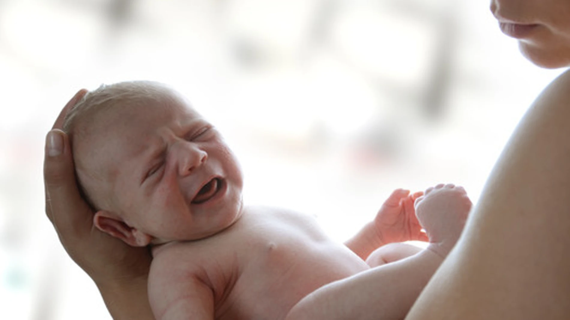 Los investigadoers de NYU Langone Medical Center han descubierto que la oxitocina enseña al cerebro de la madre a responder a las necesidades del recién nacido