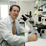 Jesús San Miguel, jefe del Servicio de Hematología del Hospital salmantino
