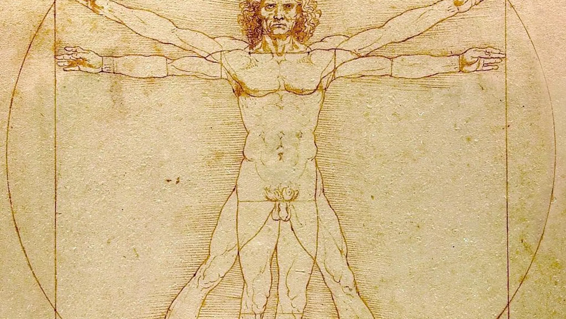 Da Vinci: atlas completo de un artista poliédrico