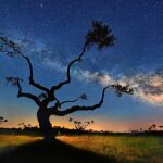 La fotografía, tomada este mes por César Vega Toledano, se titula «El Árbol de la Galaxia».