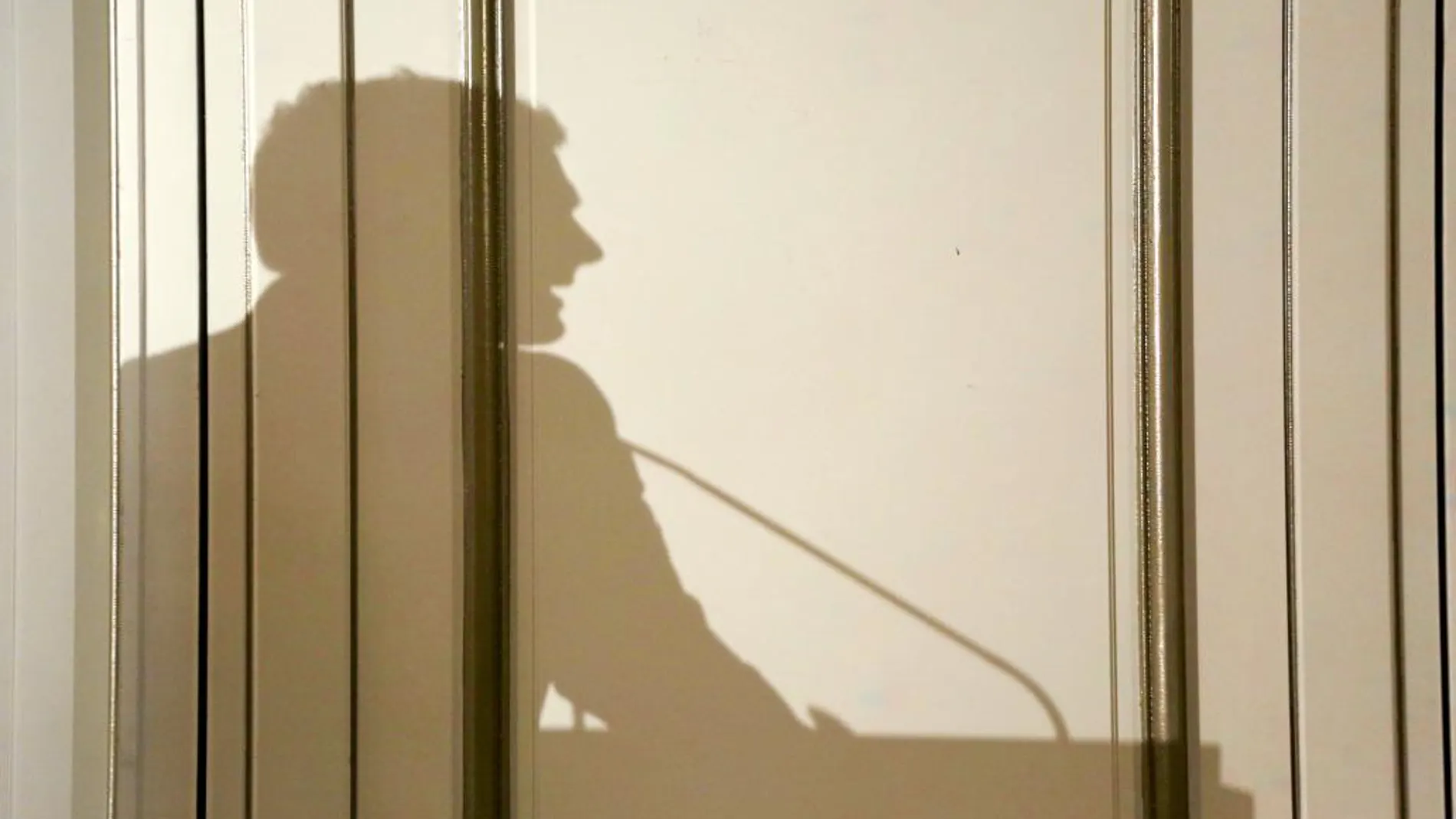 La sombra de Albert Rivera, ayer, durante un desayuno informativo en Madrid