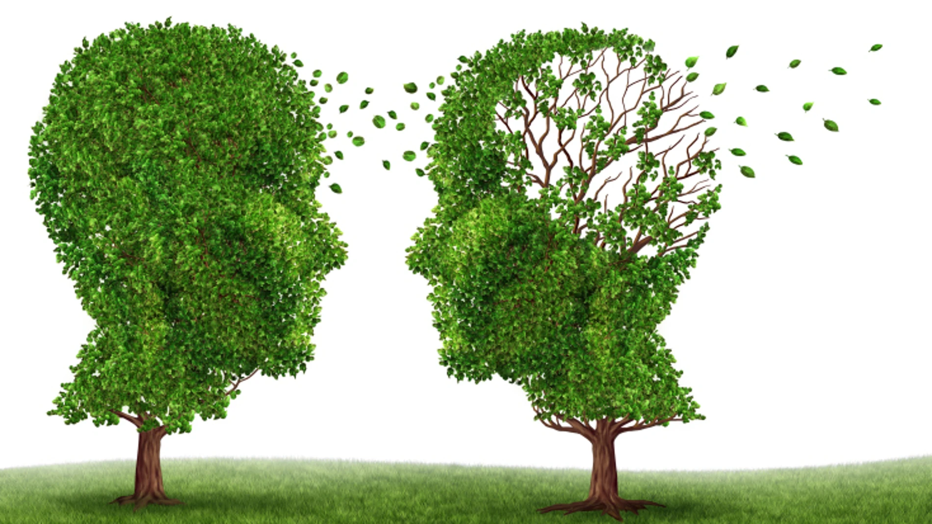 Los pacientes de Alzheimer tienen el doble de probabilidades de haber sufrido previamente una depresión