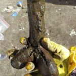 Imagen del dildo encontrado en Polonia