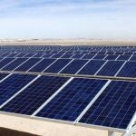 Huerto de pantallas solares