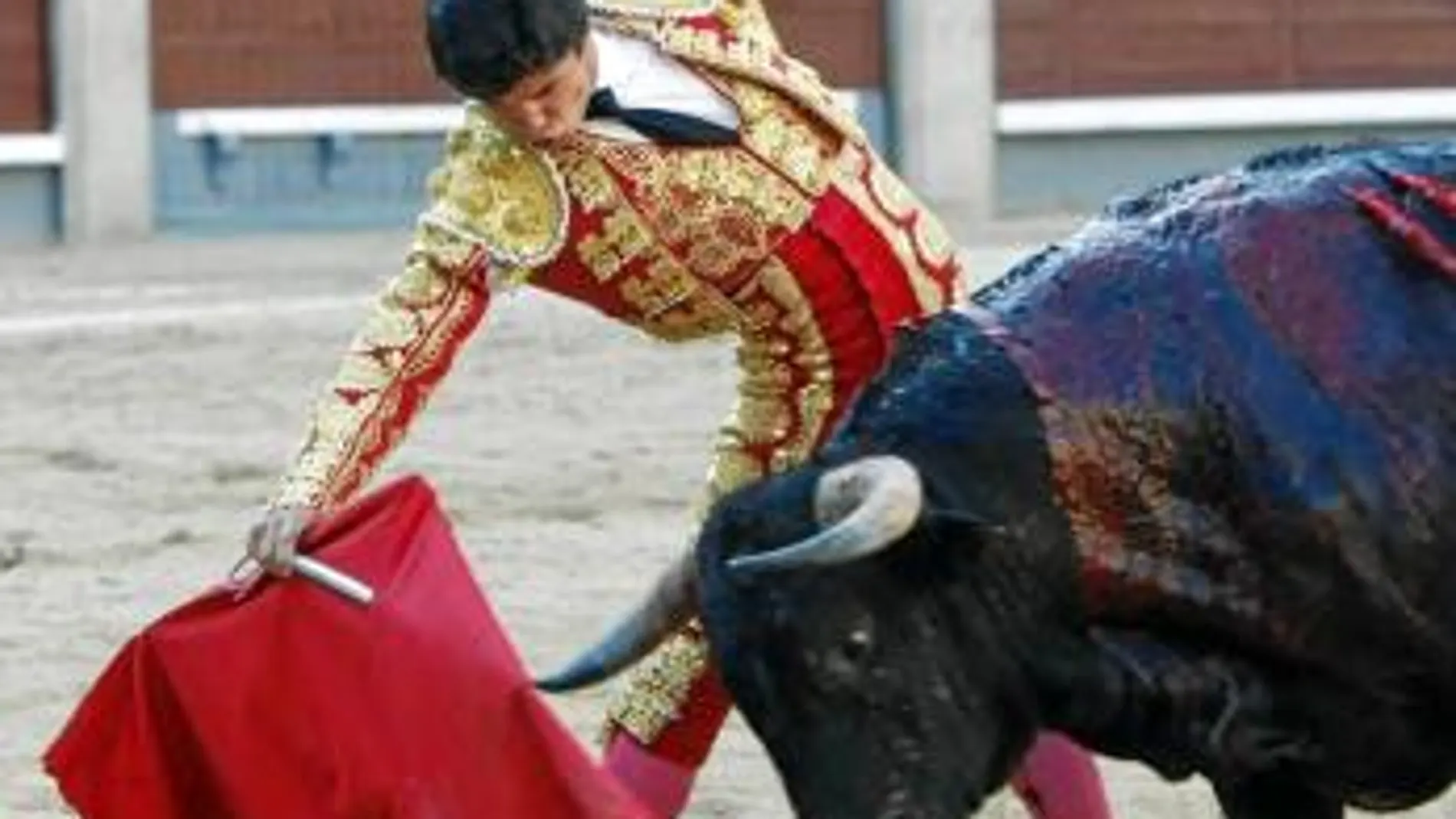 Juan del Álamo en un derechazo al segundo novillo de la tarde