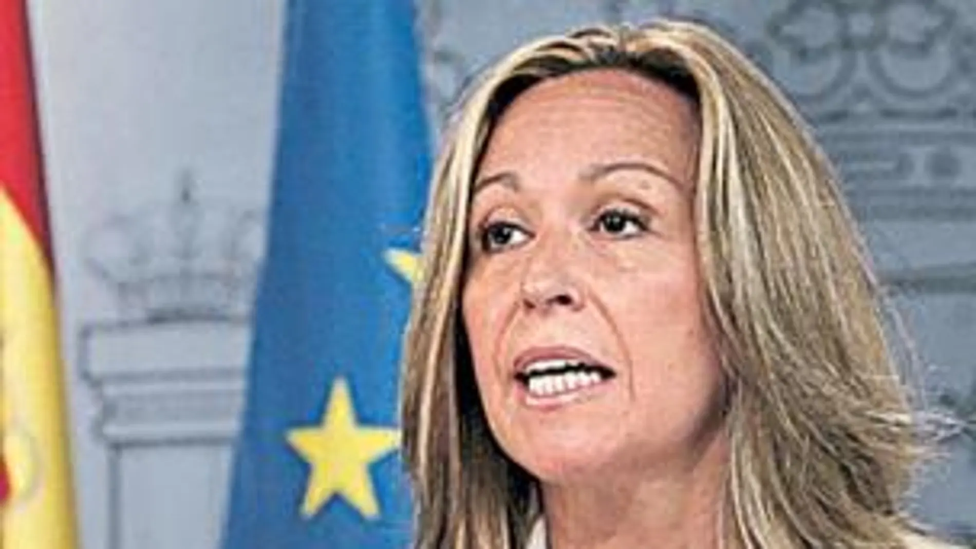 Sanidad prevé «al menos» 8.000 muertes por gripe A en España