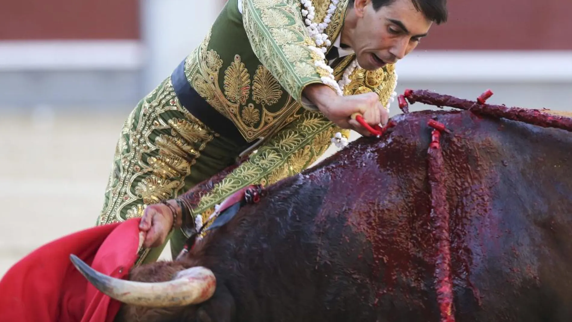 Jiménez Fortes clava una estocada hasta la empuñadura a su primer toro, durante el séptimo festejo de la Feria de San Isidro en Las Ventas.
