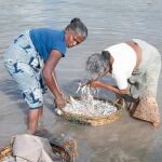 Ayuda española para siete millones de pescadores en Asia