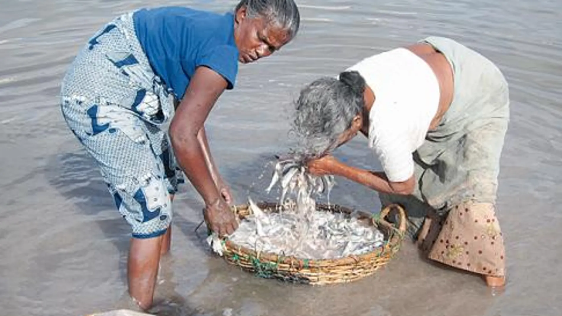 Ayuda española para siete millones de pescadores en Asia