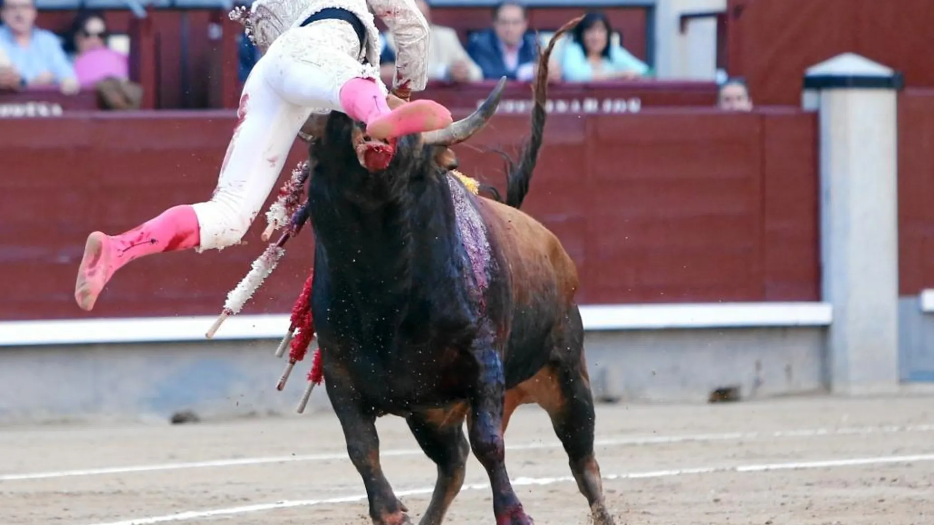 Gonzalo Caballero resulta cogido de manera espectacular al entrar a matar sin muleta al cuarto de la tarde, del que paseó un trofeo