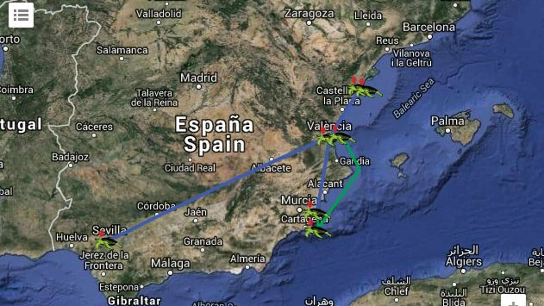 Siguiendo a la tortuga boba «Lola» vía satélite por el Mediterráneo