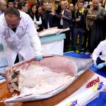 La pieza protagonista pesó 260 kilos