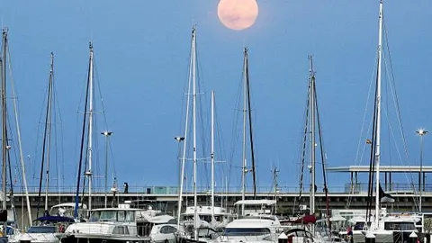 Las marinas son las únicas zonas del nuevo puerto que están explotadas, cada vez con mayor éxito