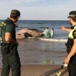 Agentes de la Guardia Civil junto a la ballena muerta