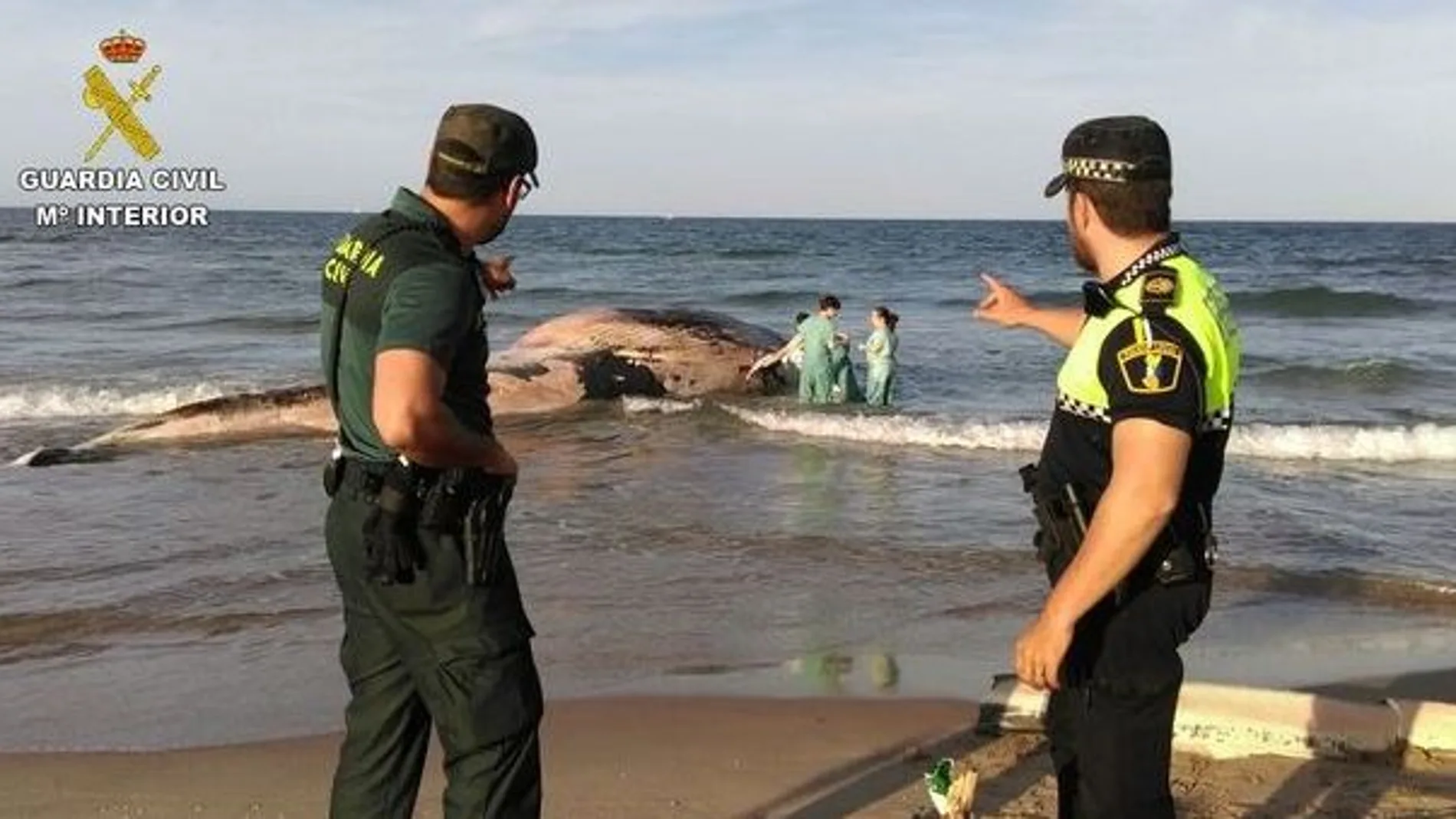 Agentes de la Guardia Civil junto a la ballena muerta