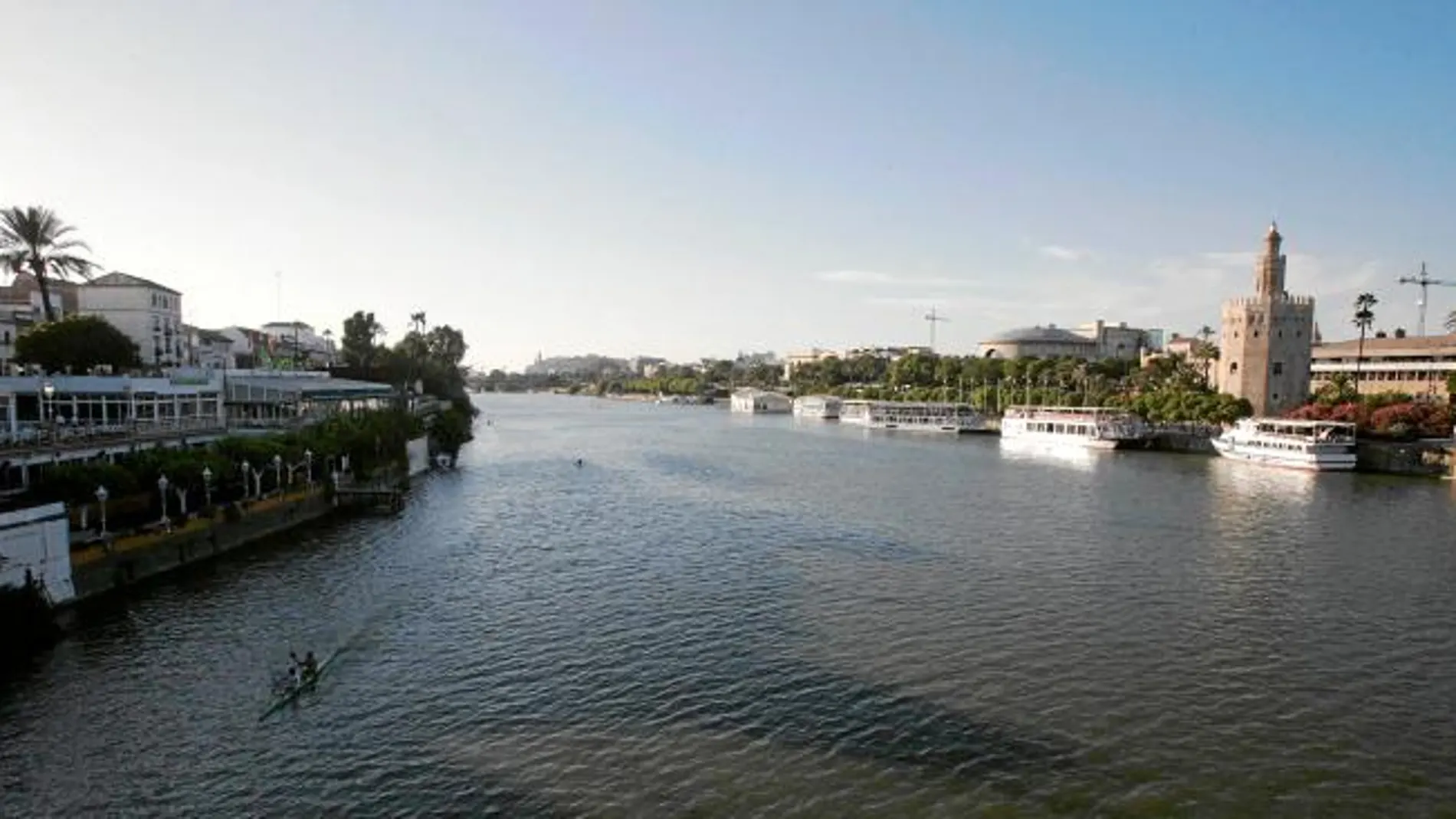 Potenciar el puerto de Sevilla reactivaría la actividad económica de la ciudad, pero la Junta ya ha mostrado su rechazo