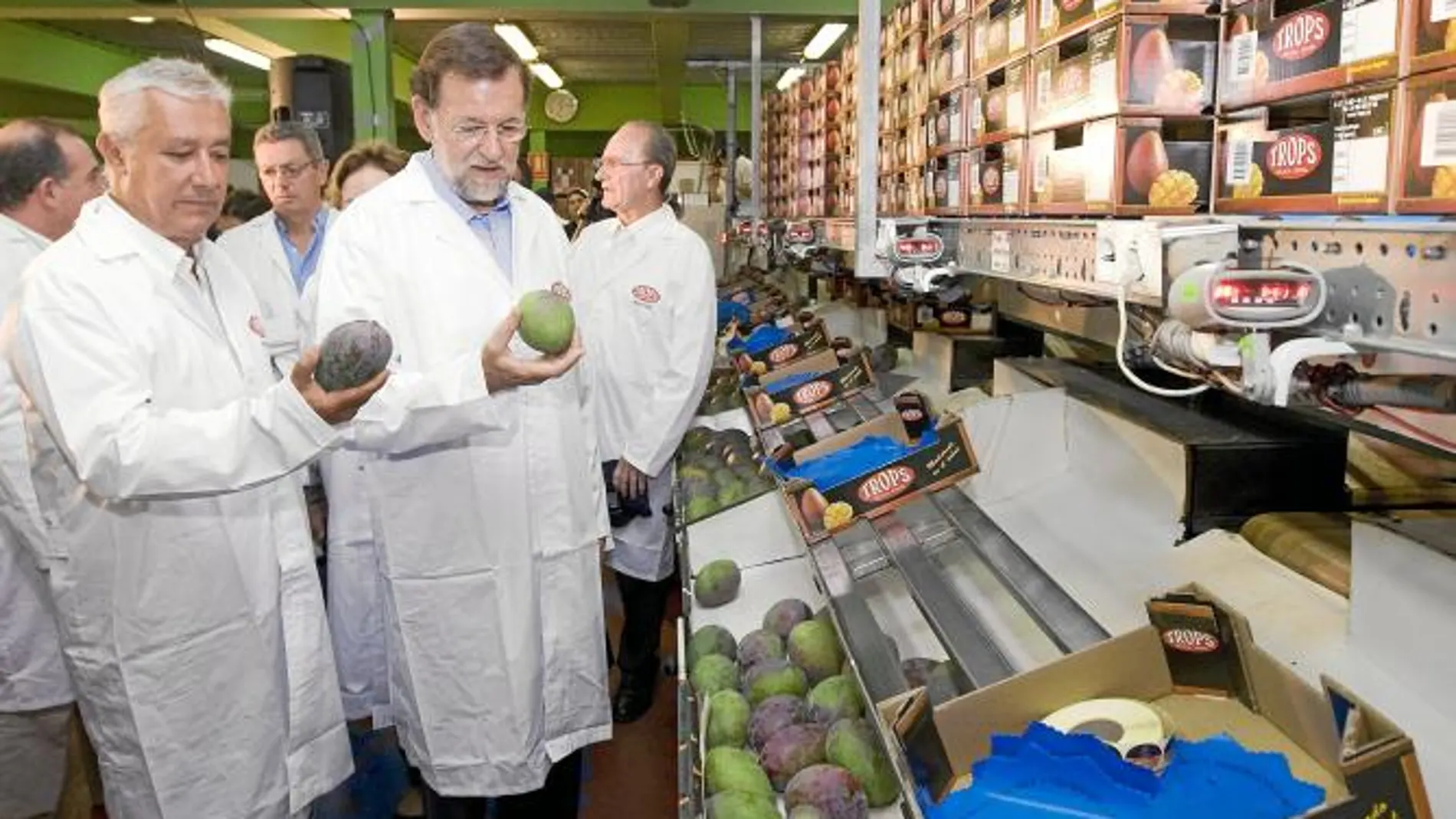 Rajoy, ayer, en Velez, (Málaga) dijo que si es presidente recuperará el ministerio de Agricultura