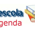 Enero 2011