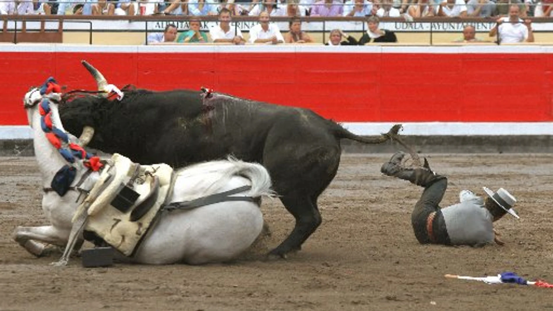 El caballo «Cairel», de Leonardo Hernández, fue herido ayer por uno de los toros en Bilbao