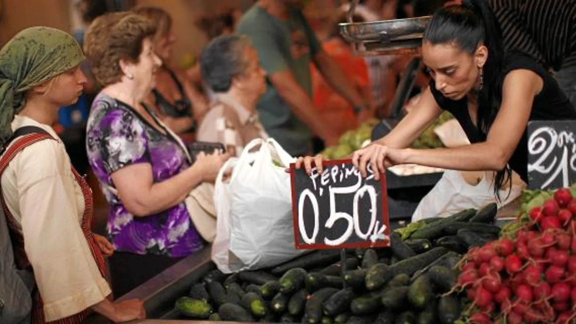 Los mercados de Madrid y Barcelona no dan a basto, están saturados de hortalizas que no venden