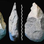 Con estas herramientas, el Homo Erectus podía matar animales