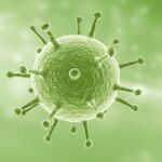 Gripe A: el virus toma el mando
