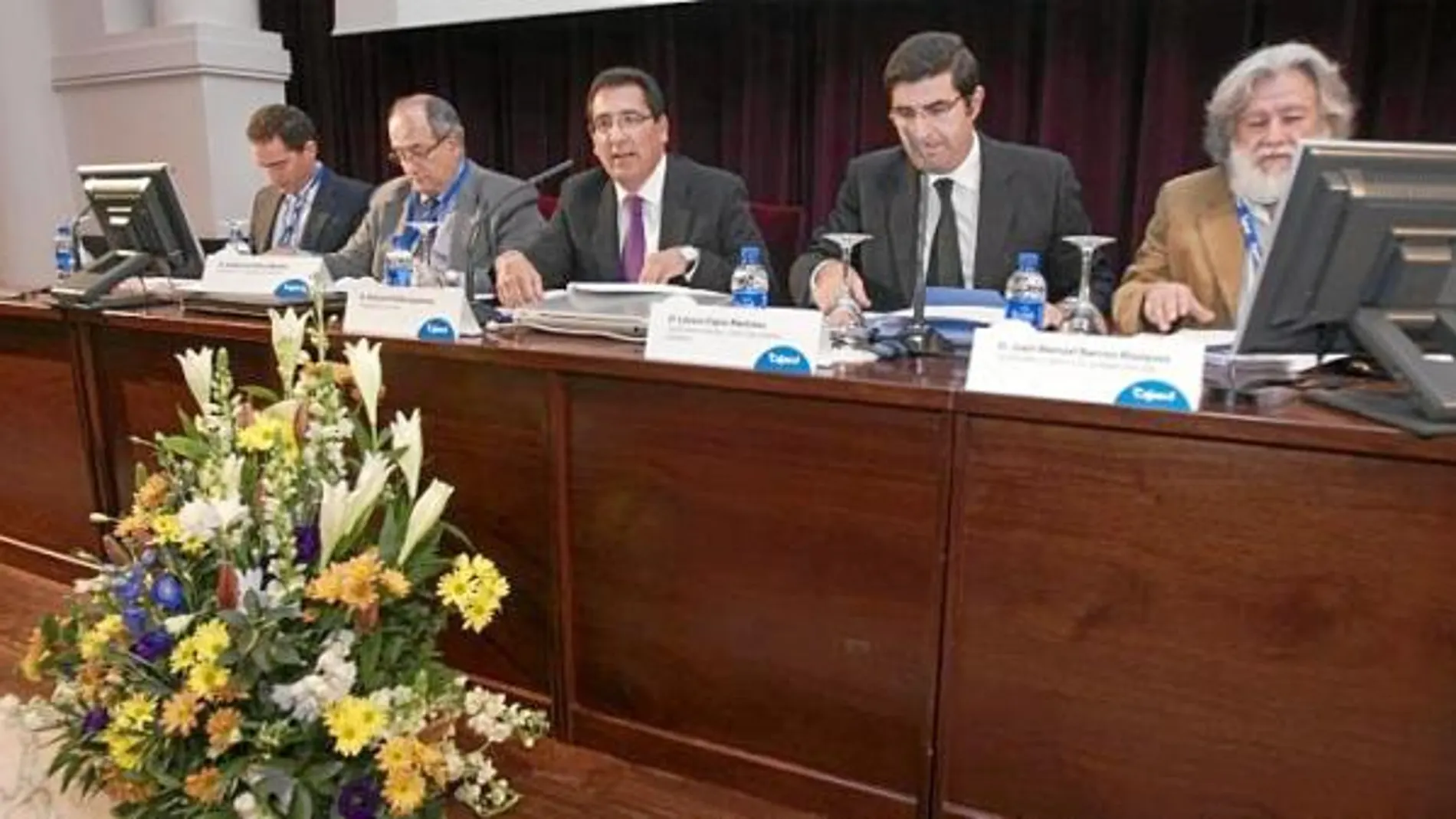 El presidente de Cajasol, Antonio Pulido (c), consiguió que la asamblea aprobara por unanimidad la creación de la Fundación Caja Guadalajara