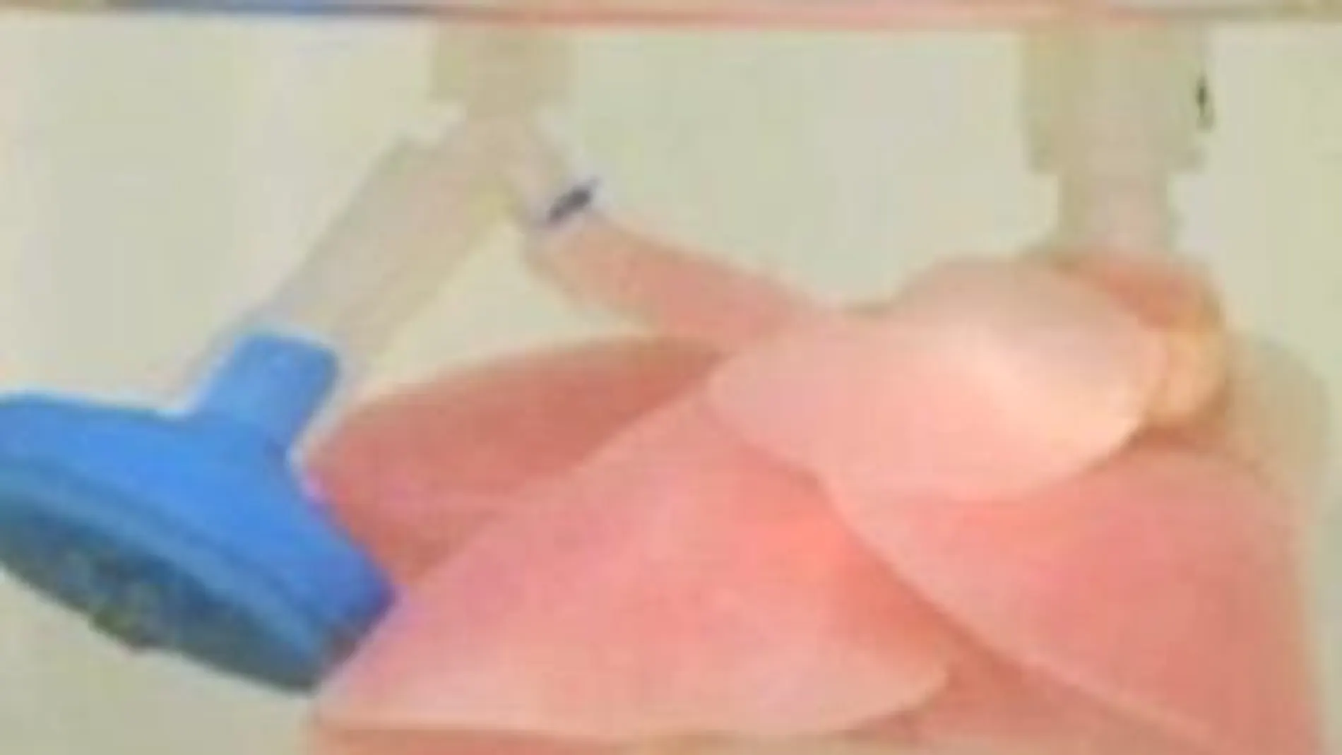 El pulmón en un biorreactor