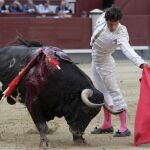 El diestro Miguel Abellán con su primer astado en la plaza de toros de Las Ventas