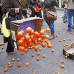 Agricultores murcianos protestan hoy en Madrid contra el tratado con Marruecos