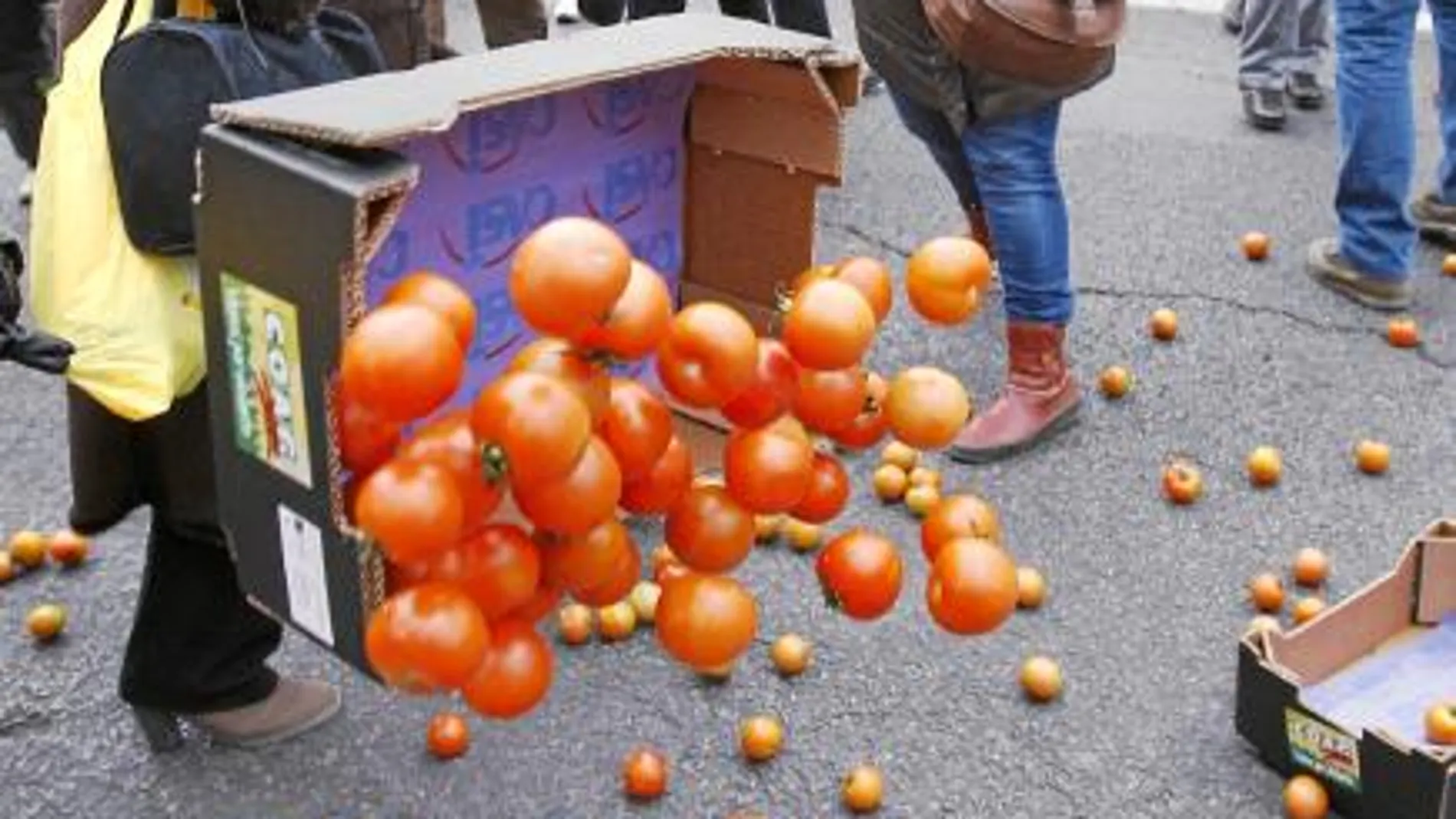 Agricultores murcianos protestan hoy en Madrid contra el tratado con Marruecos