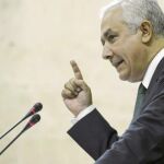 El presidente del PP-A, Javier Arenas, interviene ante el plenario