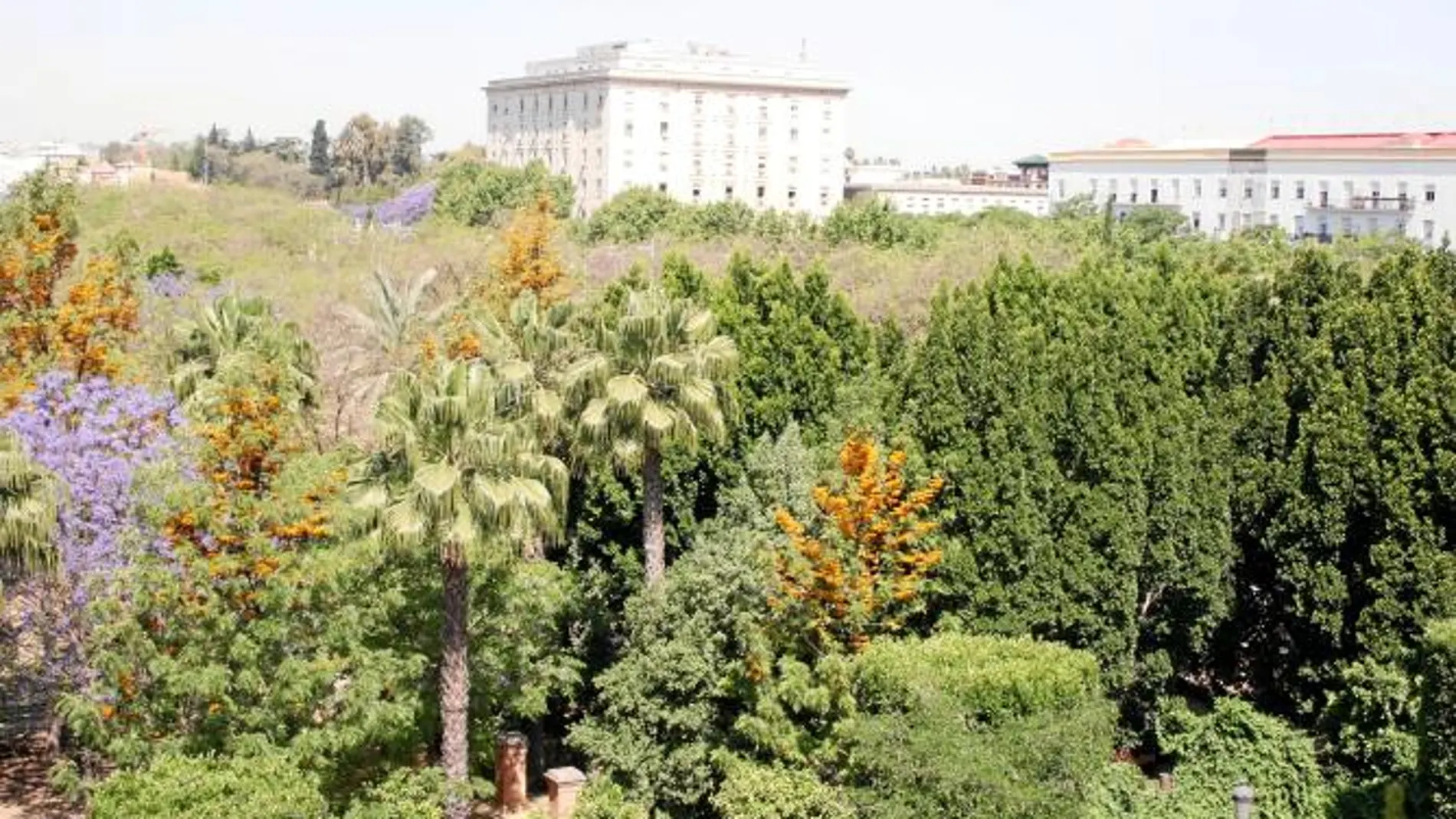 Aspecto de los jardines del Prado antes de que se talaran dos centenares de árboles