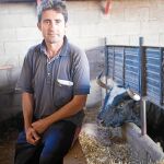 «El toro «Ratón» es temible en la plaza e inofensivo en los corrales»
