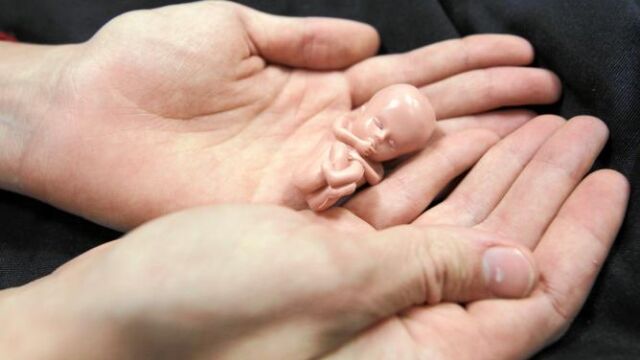 Fin al «coladero» de la ley del aborto