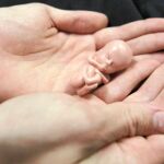 Fin al «coladero» de la ley del aborto