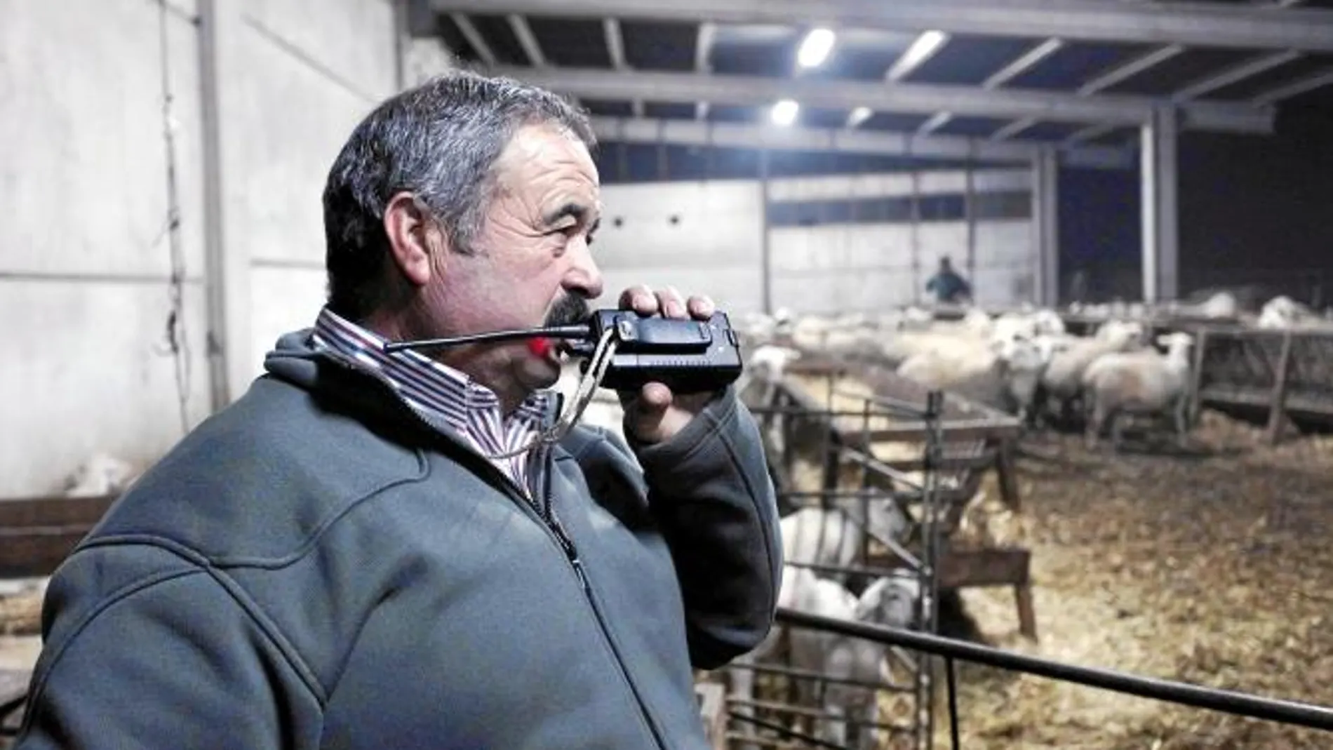 Patrullas de agricultores en Alcarràs para frenar los robos en las masías