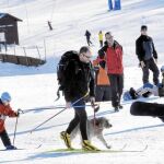 Los animales disfrutan del esquí con sus dueños
