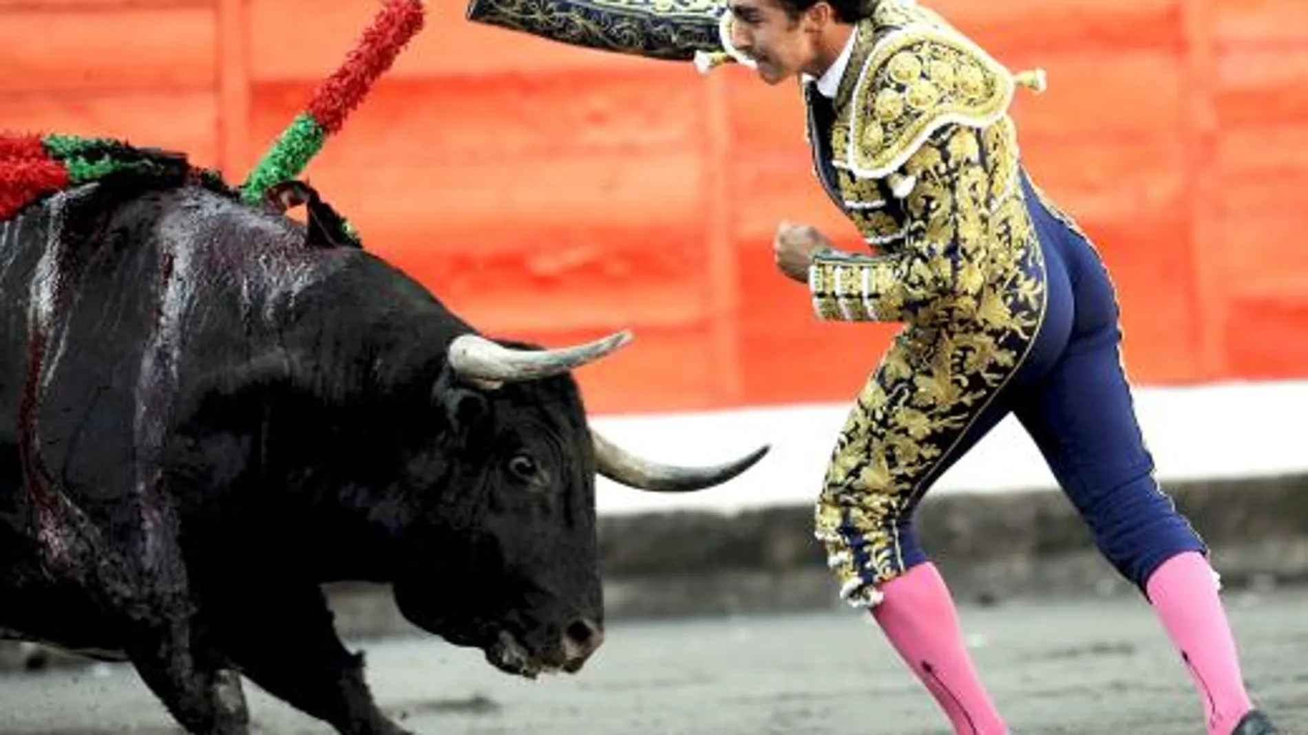 Ya es oficial: las corridas de toros prohibidas desde 2012