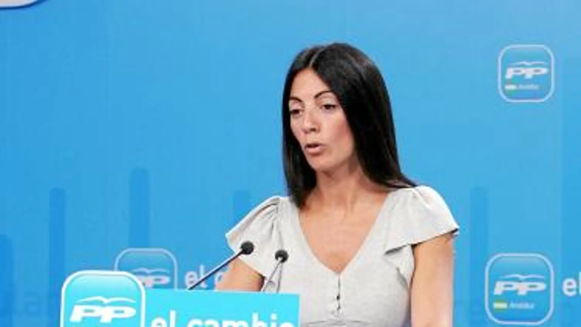 IU y PSOE se unen en contra del PP para sacar a los alcaldes de la Cámara