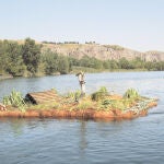 Isla para aves