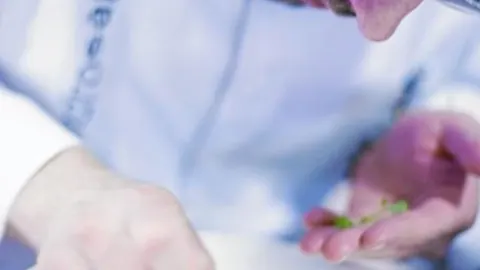 Alejandro: de la lonja al plato