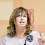Rigau desoye a la oposición y se niega a construir una escuela en Olèrdola