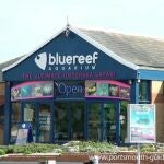 La langosta gigante ha sido donada al acuario Blue Reef de Portsmouth