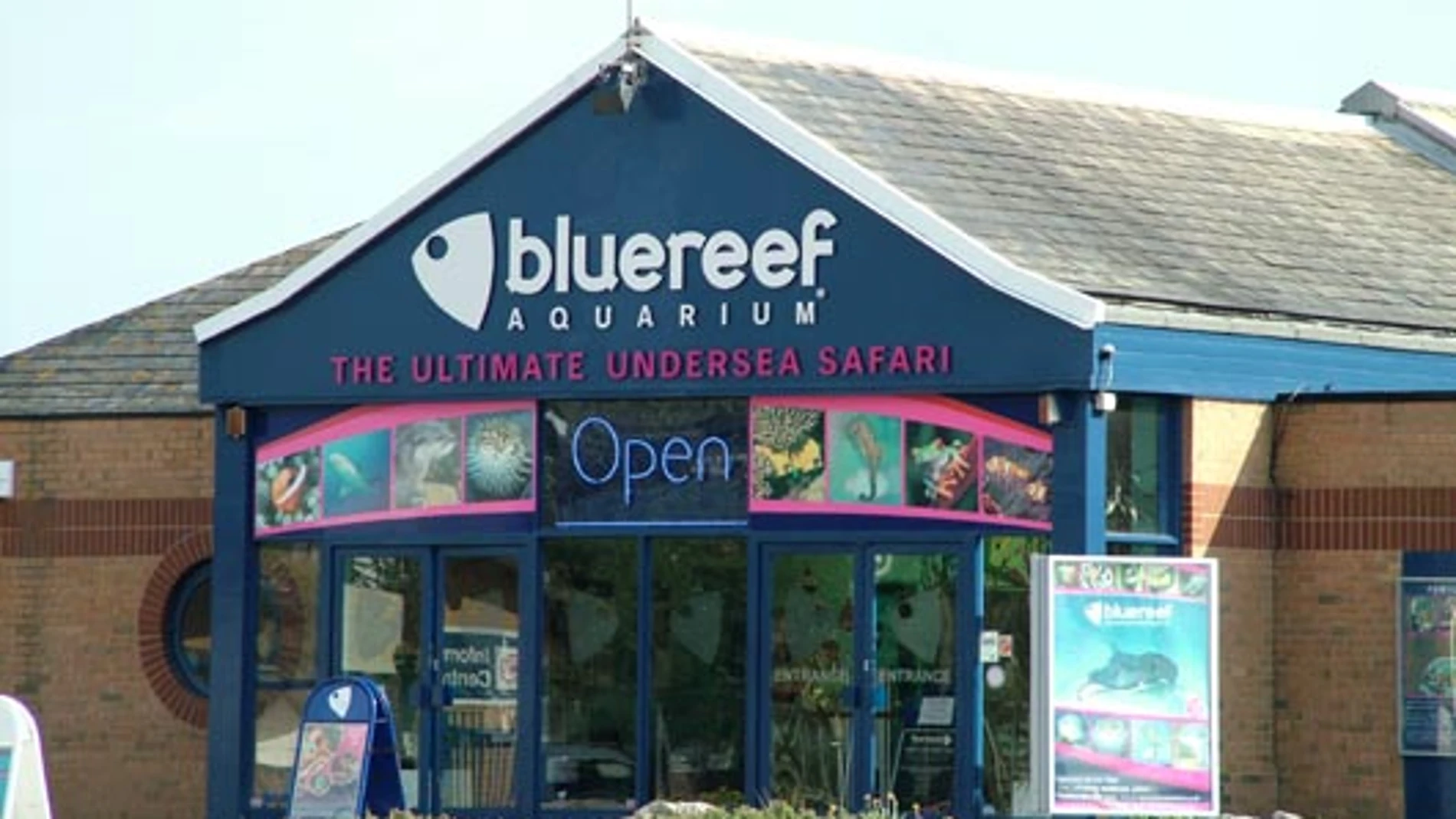 La langosta gigante ha sido donada al acuario Blue Reef de Portsmouth