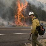 Este año el riesgo de incendio forestal es muy alto