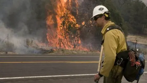 Este año el riesgo de incendio forestal es muy alto