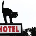 Residencias caninas