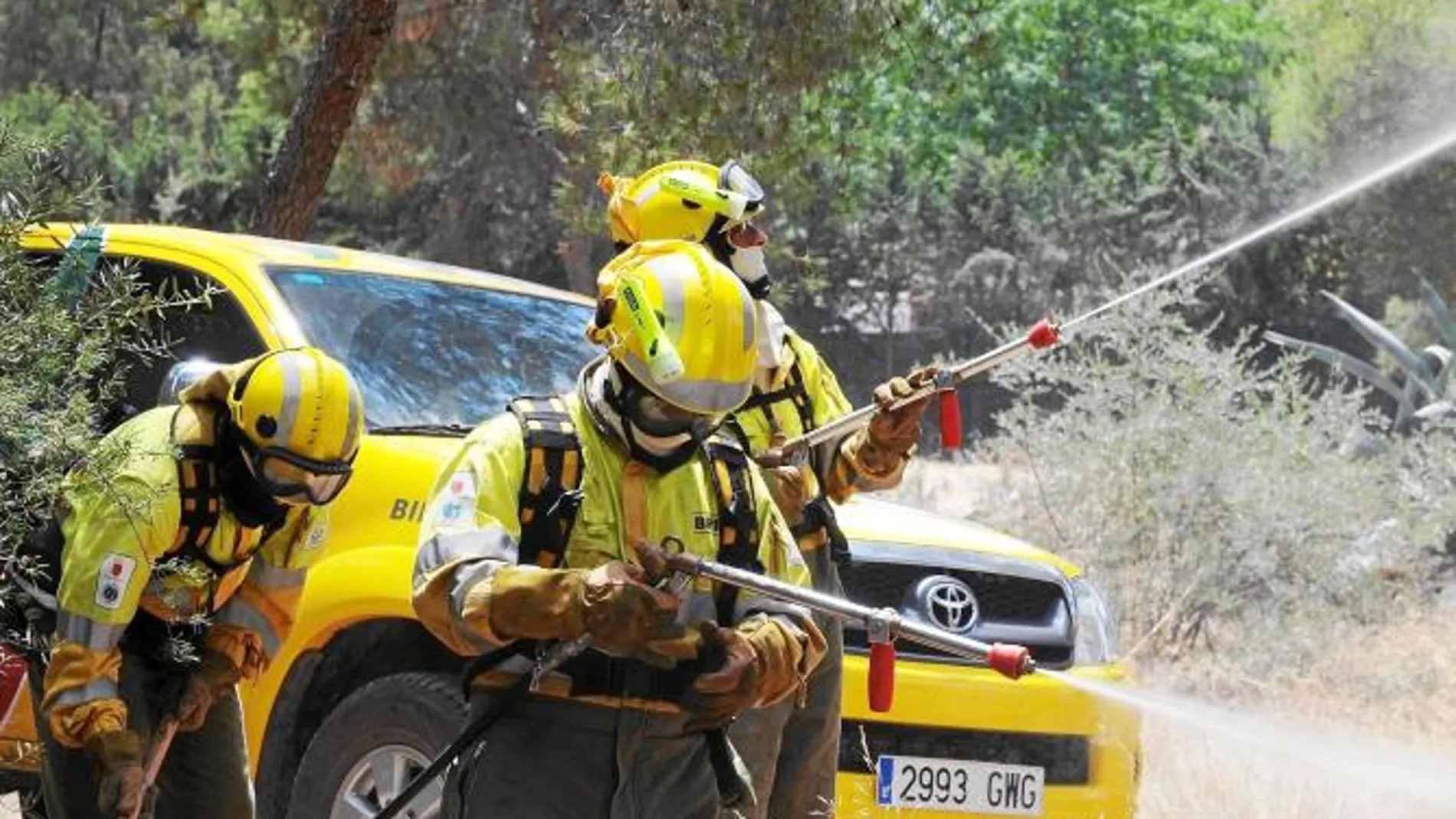 Algunos de los miembros de la Brigada de Intervención Rápida tratando de apagar un incendio forestal, en una imagen de archivo